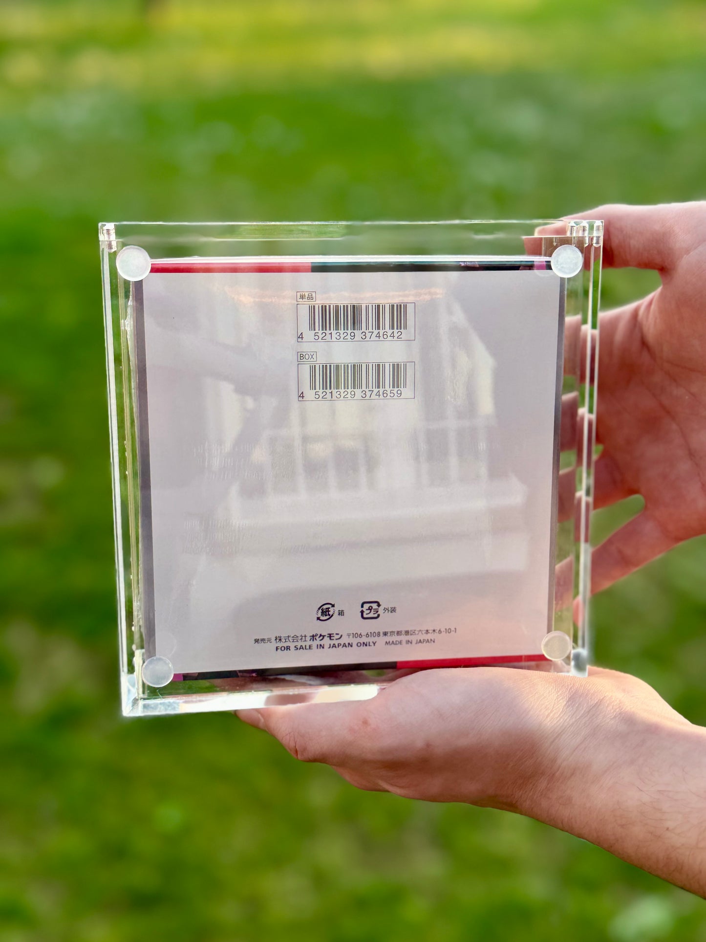 Case Protettivo in Acrilico con Magneti Display Pokémon Giapponese