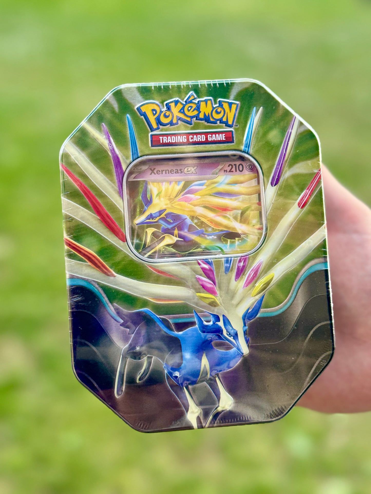 Tin da Collezione Leggende Cerulee: Xerneas-ex (IT)